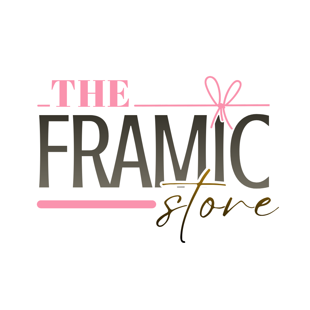 theframicstore1